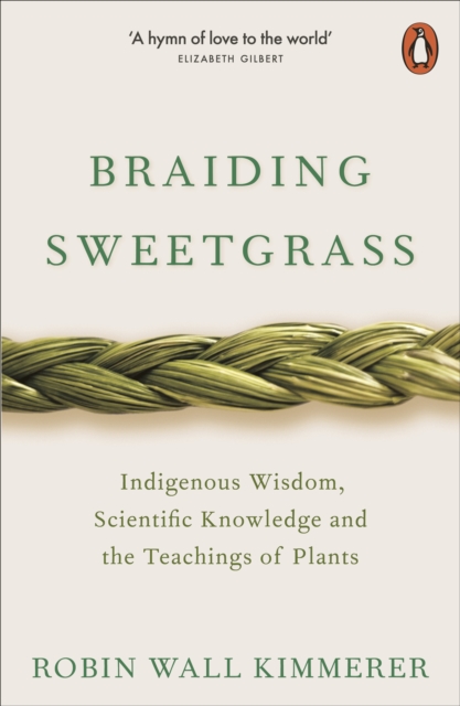 Image of Braiding Sweetgrass