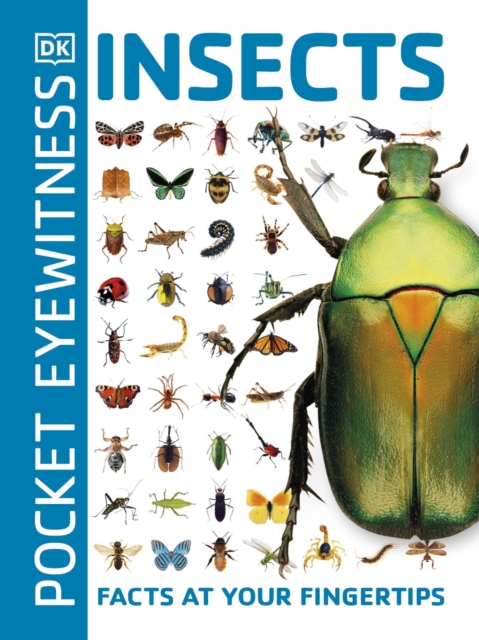 Cover: Pocket Eyewitness Insects