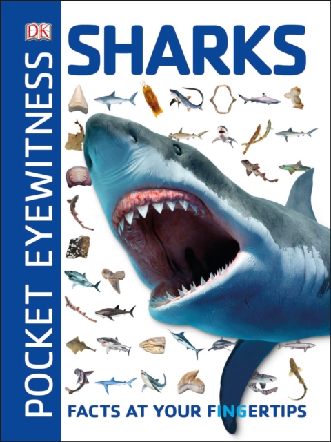 Cover: Pocket Eyewitness Sharks