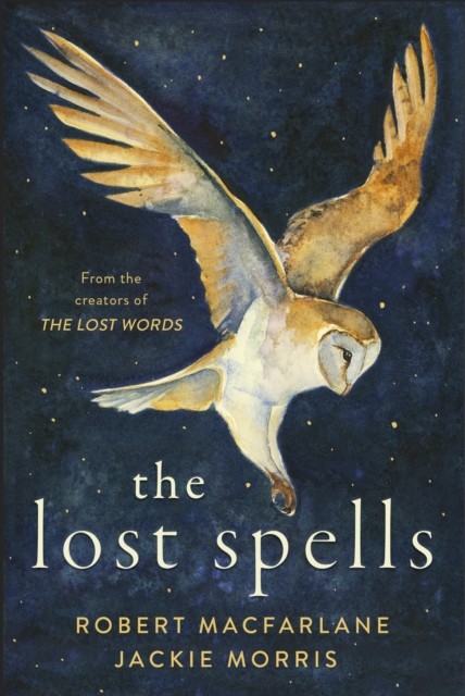 Image of The Lost Spells