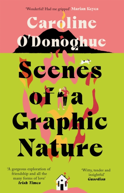 Cover: Scenes of a Graphic Nature
