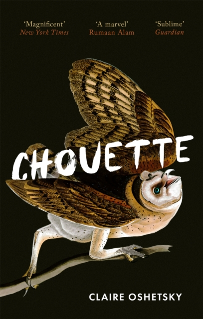 Image of Chouette