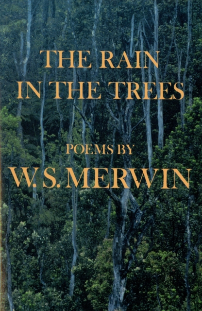Image of The Rain in the Trees