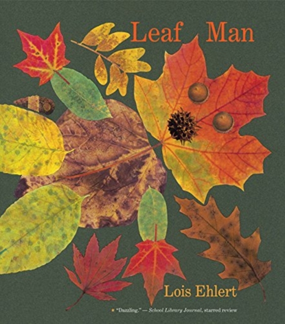 Image of Leaf Man Big Book