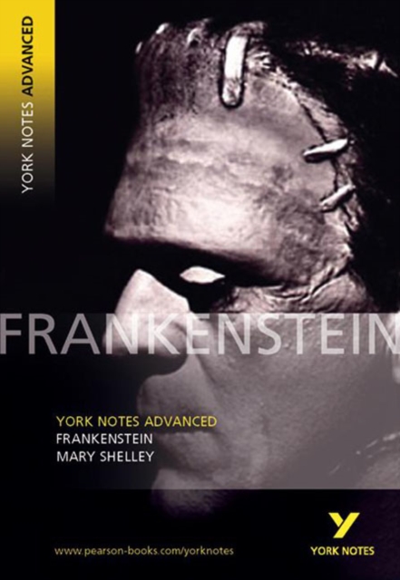 Cover of YNA2 Frankenstein everything you need to catch up, study and prepare for and 2023 and 2024 exams and assessments