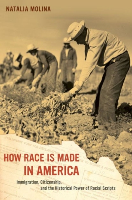 Image of How Race Is Made in America