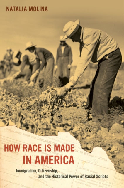 Image of How Race Is Made in America