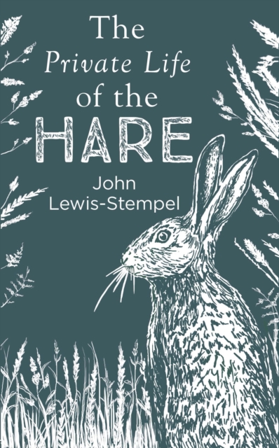 Image of The Private Life of the Hare