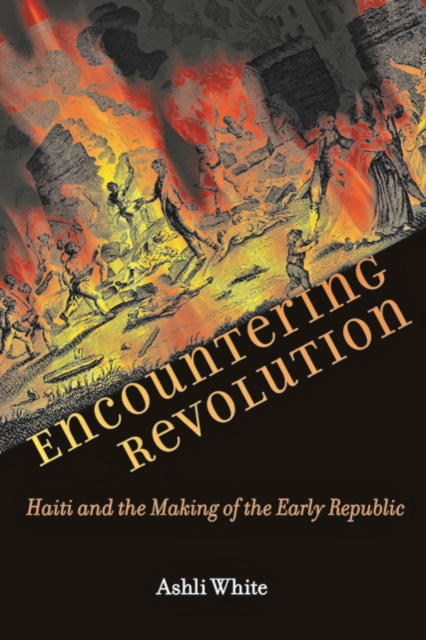 Cover of Encountering Revolution