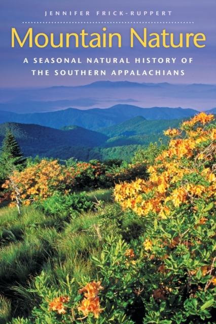 Image of Mountain Nature