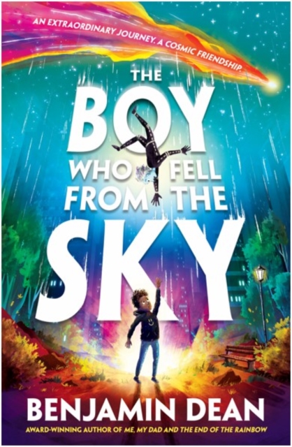Image of The Boy Who Fell From the Sky