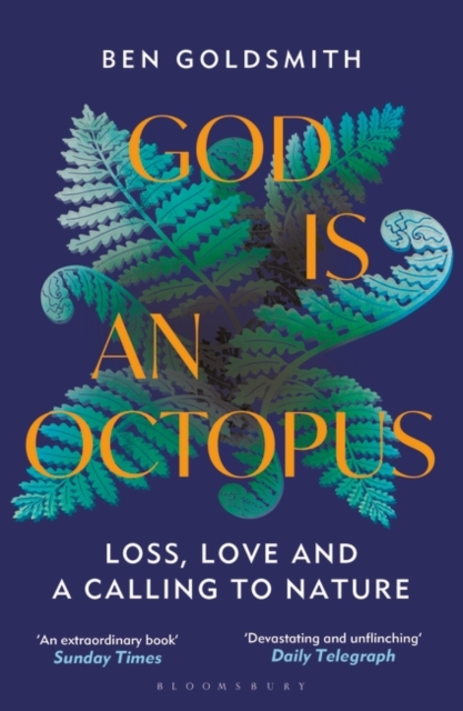 Image of God Is An Octopus