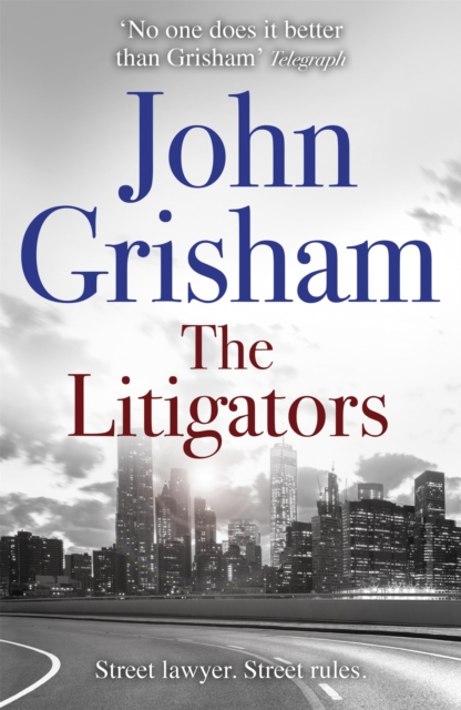 Cover: The Litigators