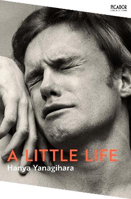 Image of A Little Life