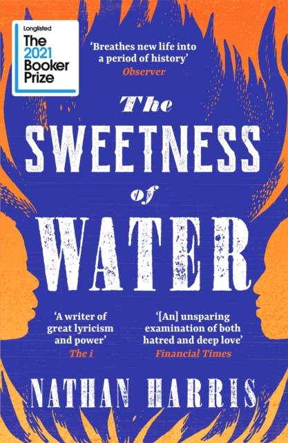Image of The Sweetness of Water