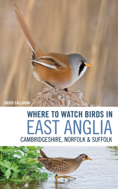 Image of Where to Watch Birds in East Anglia