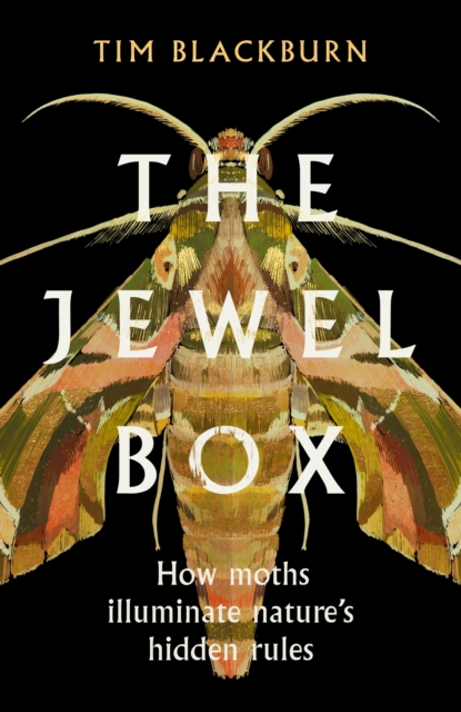 Cover: The Jewel Box