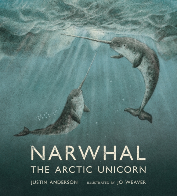 Image of Narwhal: The Arctic Unicorn