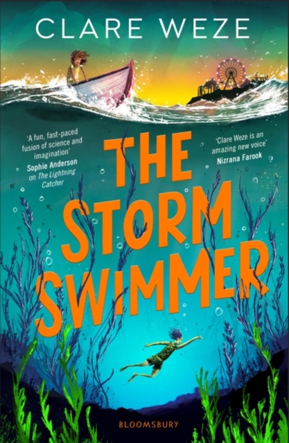 Image of The Storm Swimmer