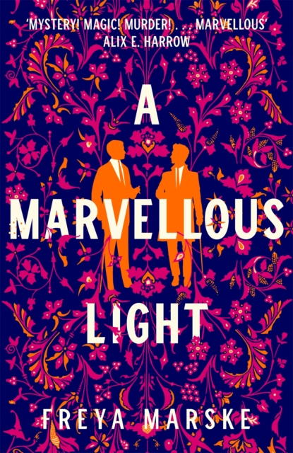 Cover: A Marvellous Light