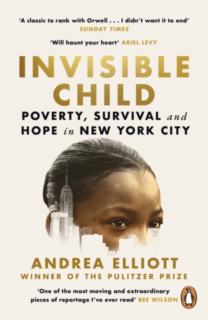 Cover: Invisible Child