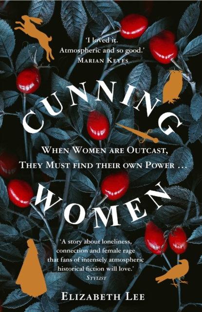 Image of Cunning Women