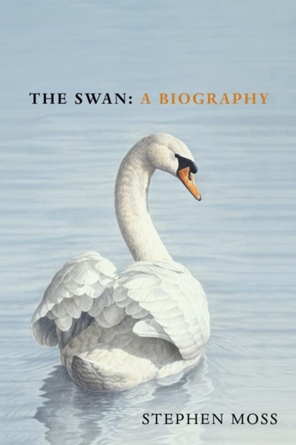 Cover: The Swan