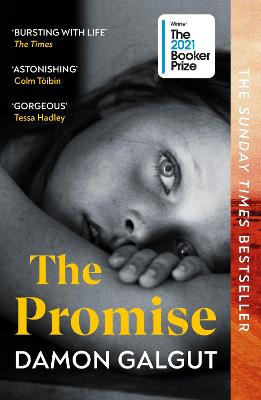 Image of The Promise