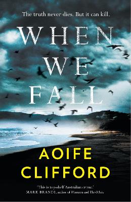 Image of When We Fall