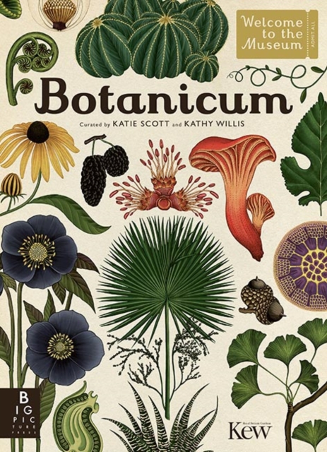 Image of Botanicum