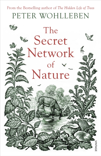 Image of The Secret Network of Nature