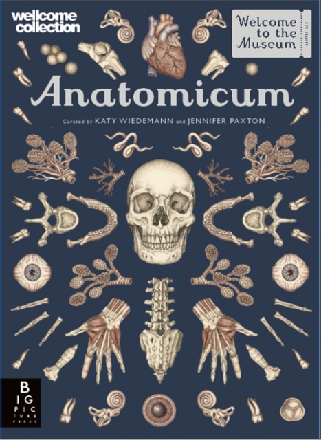 Cover: Anatomicum