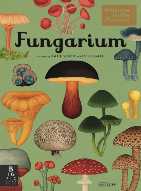 Image of Fungarium