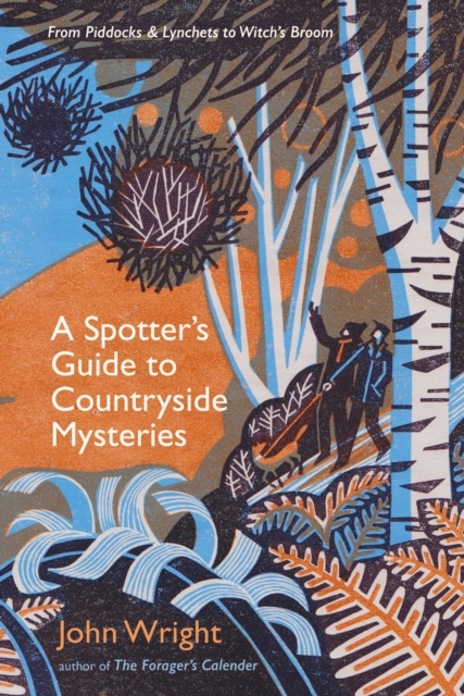 Image of A Spotter's Guide to Countryside Mysteries