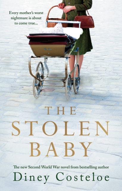 Image of The Stolen Baby