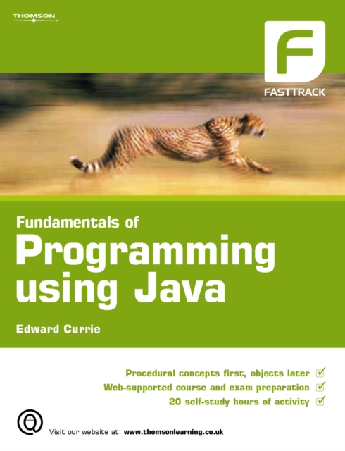 Cover of Fundamentals of Programming using Java