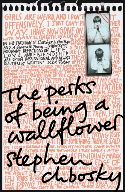 Image of The Perks of Being a Wallflower