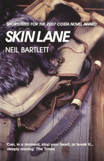 Image of Skin Lane