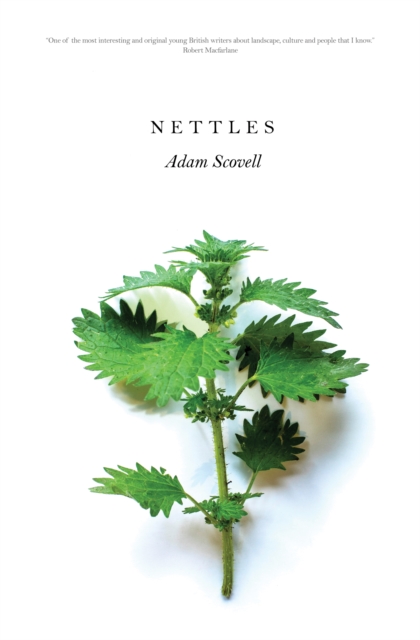 Image of Nettles
