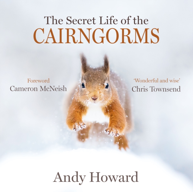Image of The Secret Life of the Cairngorms