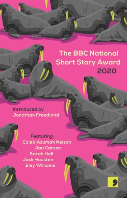 Image of The BBC National Short Story Award 2020