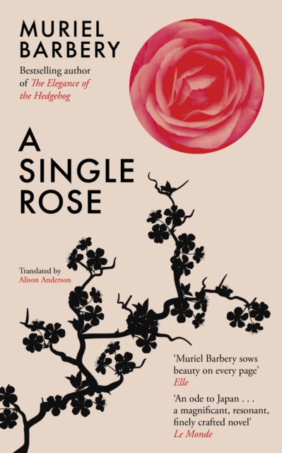 Image of A Single Rose
